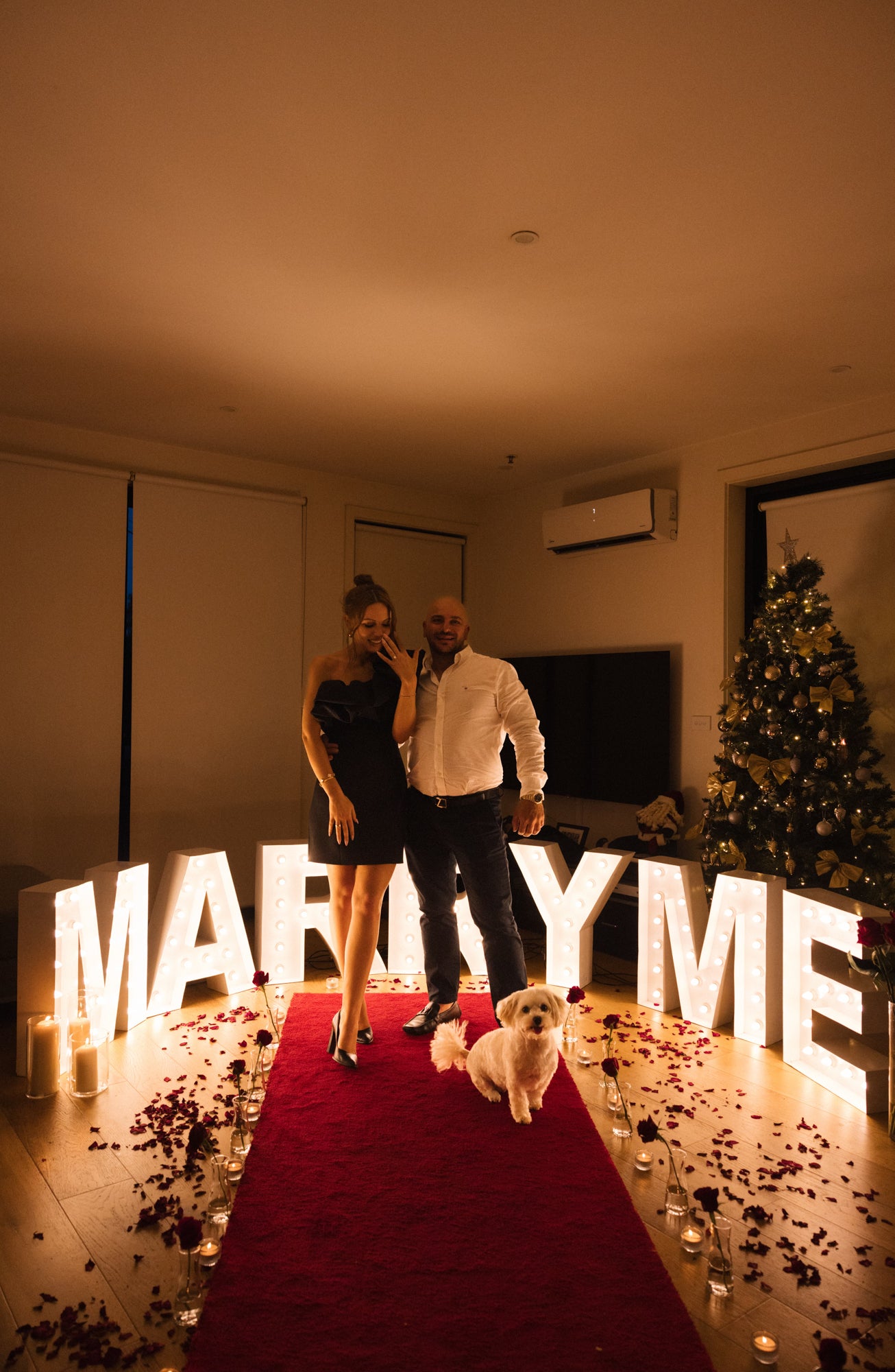 Red carpet hire Melbourne with marry me lights for romantic indoor proposal