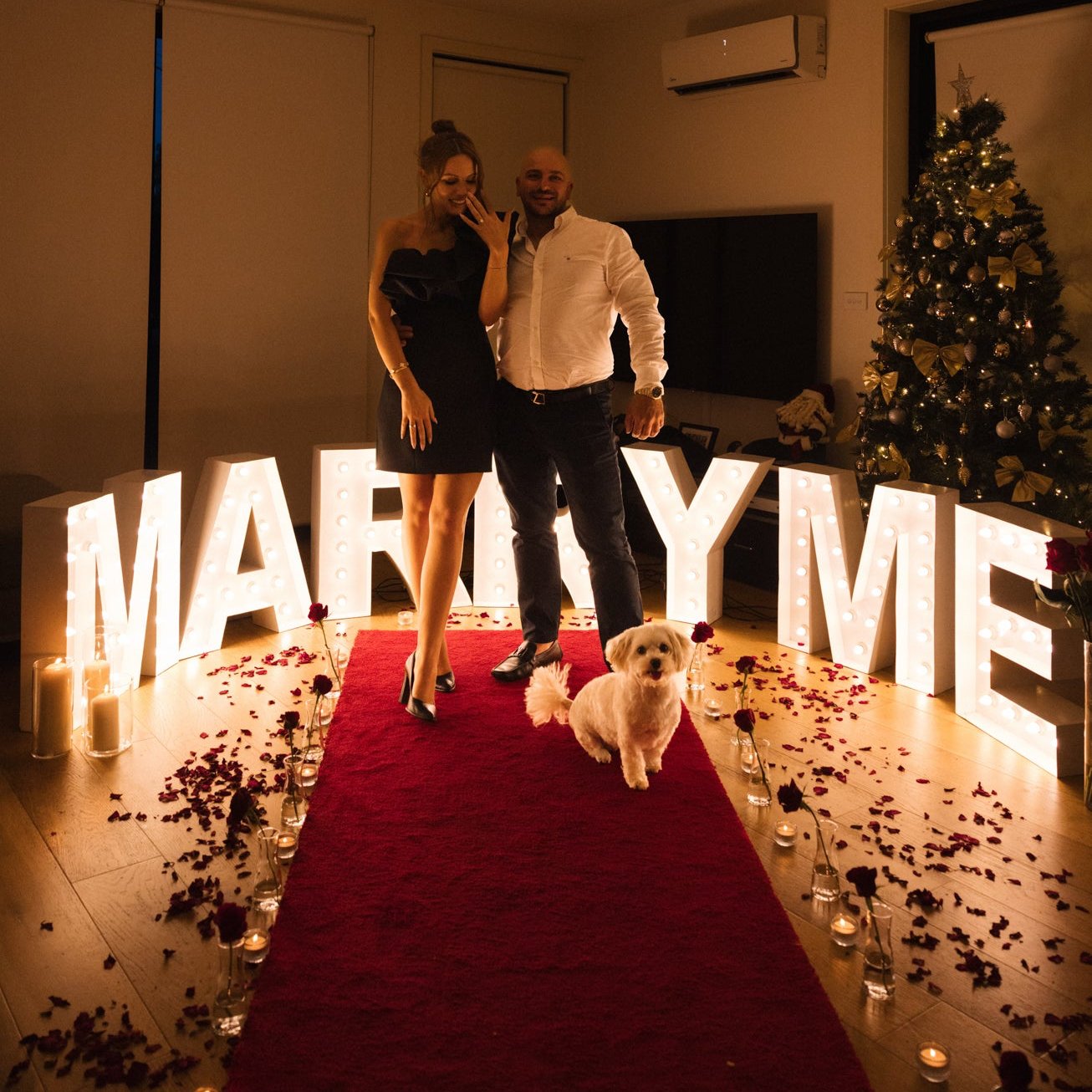 Red carpet hire Melbourne with marry me lights for romantic indoor proposal