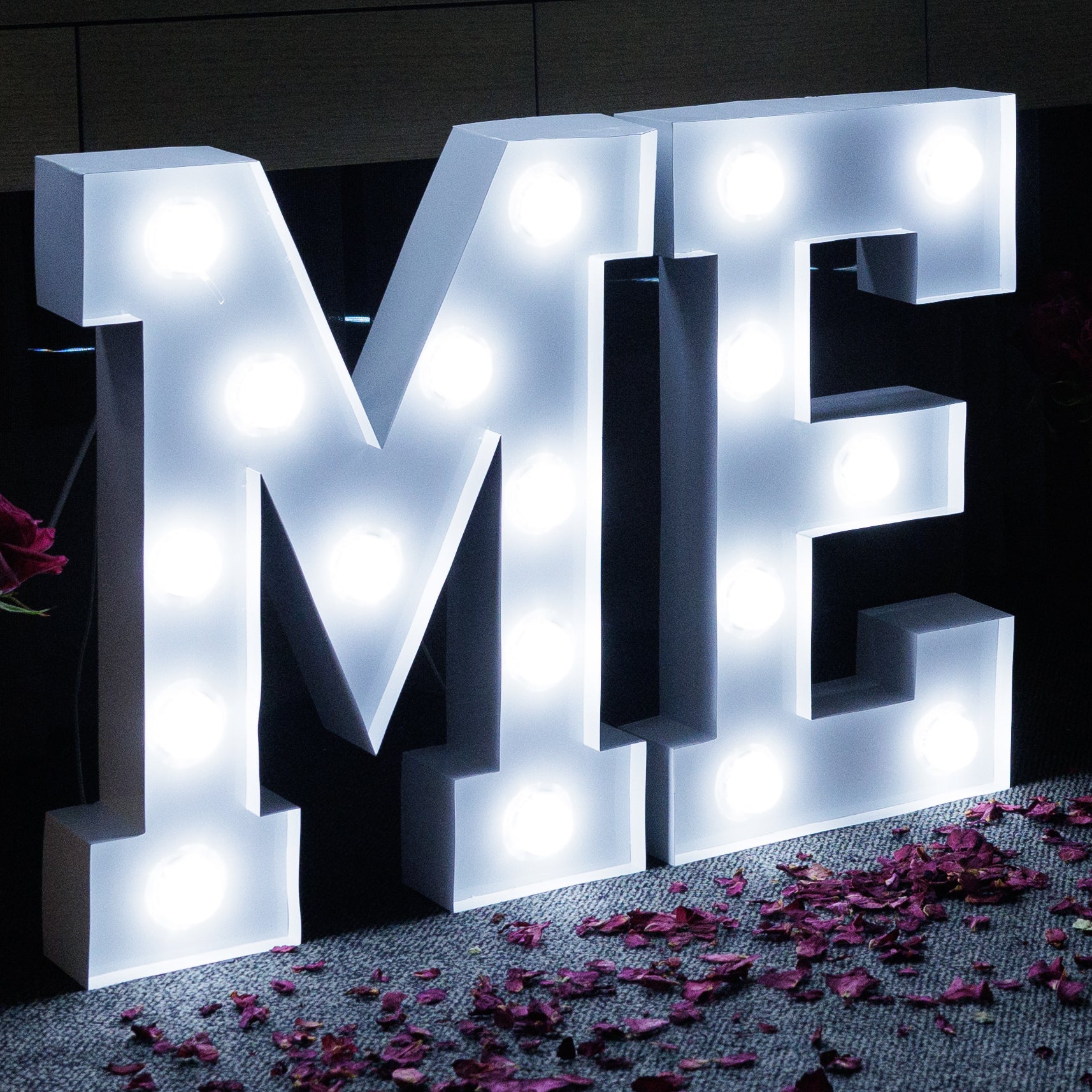 Illuminated marquee light letters spelling out 'ME' with a dark background and scattered rose petals in front.