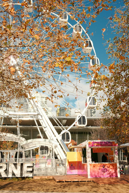 10 Romantic Proposal Ideas in Melbourne