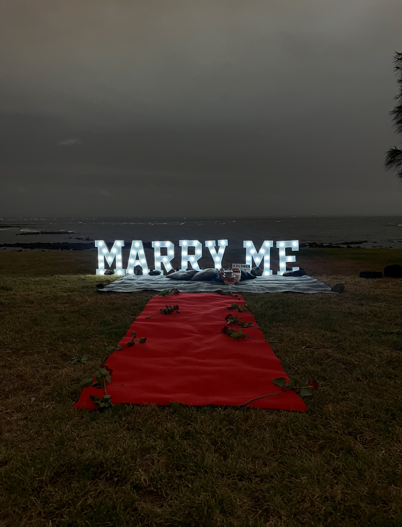 Large 'MARRY ME' sign on a red carpet in an open field with a dark sky.